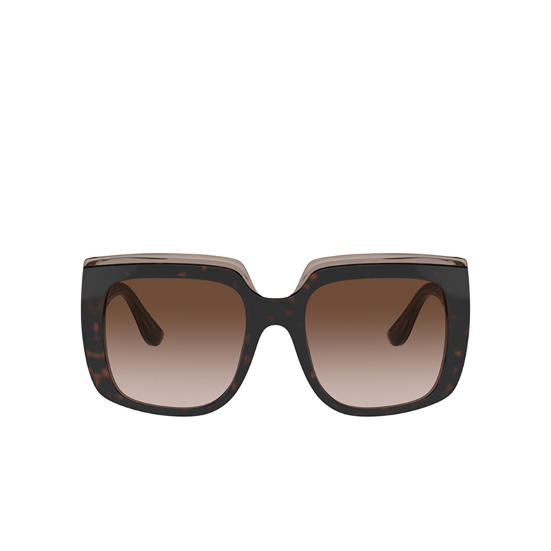 Dolce & Gabbana DG4414 Sunglasses 502/13 havana on transparent brown - 1/4