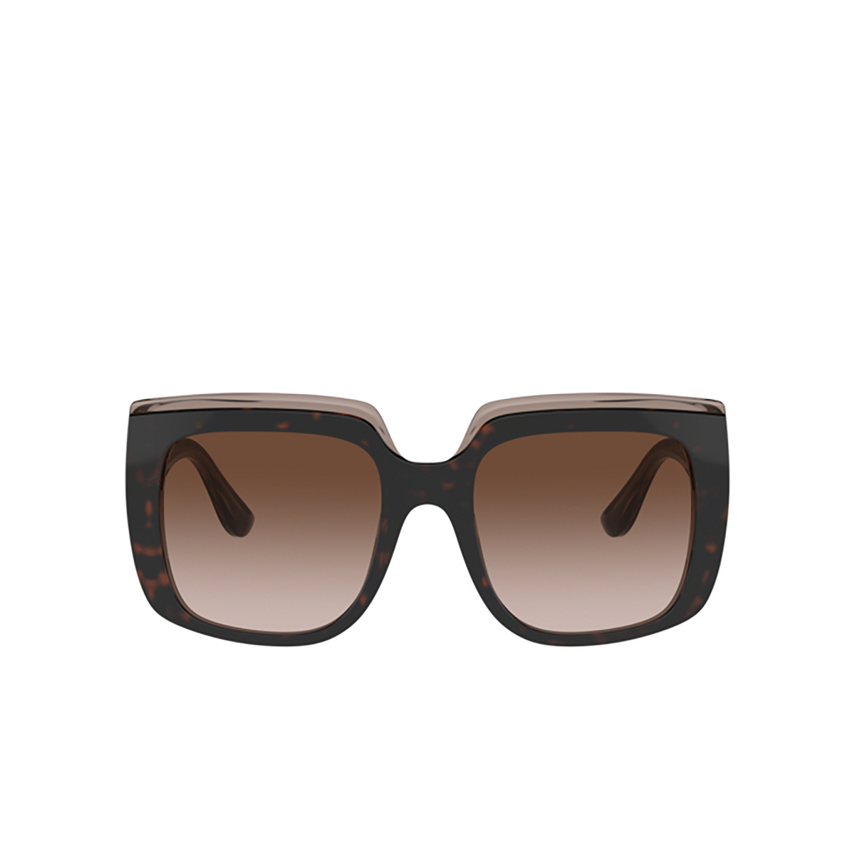 Dolce & Gabbana DG4414 Sunglasses 502/13 Havana on transparent brown - front view