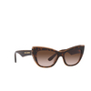 Lunettes de soleil Dolce & Gabbana DG4417 325613 havana / transparent brown - Vignette du produit 2/4