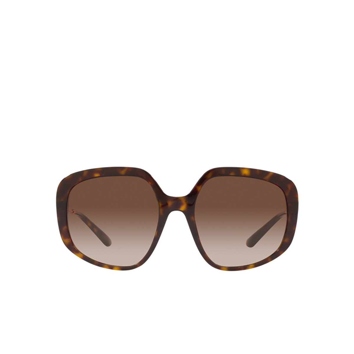 Dolce & Gabbana DG4421 Sunglasses 502/13 Havana - front view