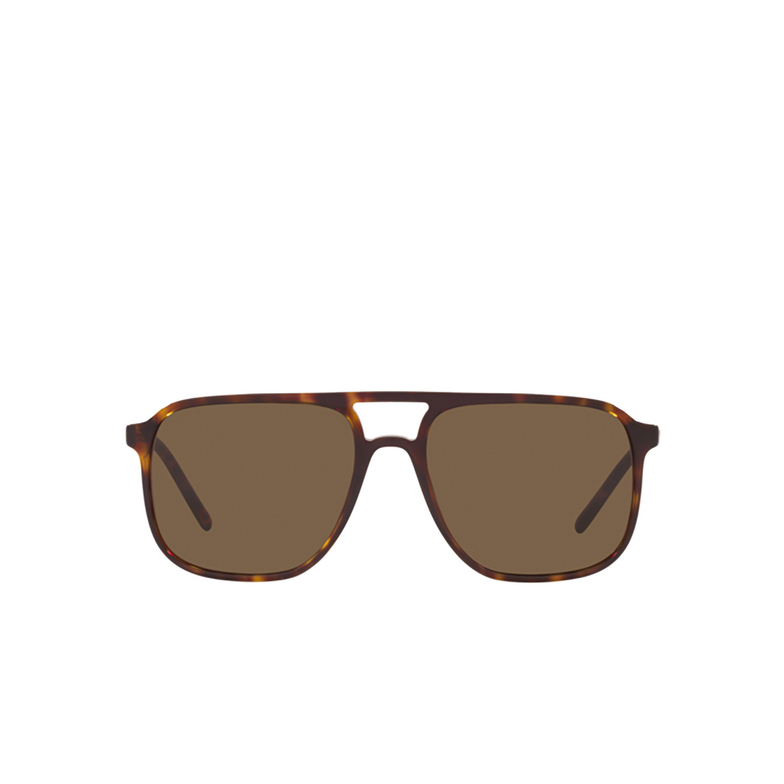 Dolce & Gabbana DG4423 Sunglasses 502/73 havana - 1/4