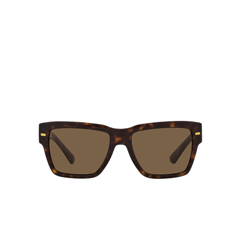 Dolce & Gabbana DG4431 Sunglasses 502/73 havana - 1/4