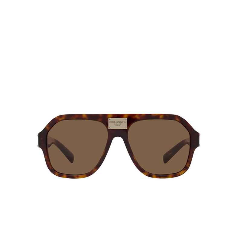 Dolce & Gabbana DG4433 Sunglasses 502/73 havana - 1/4