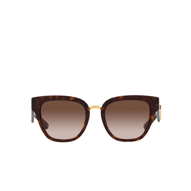 Gafas de sol Dolce & Gabbana DG4437 502/13 havana - Vista delantera