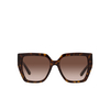 Dolce & Gabbana DG4438 Sunglasses 502/13 havana - product thumbnail 1/4