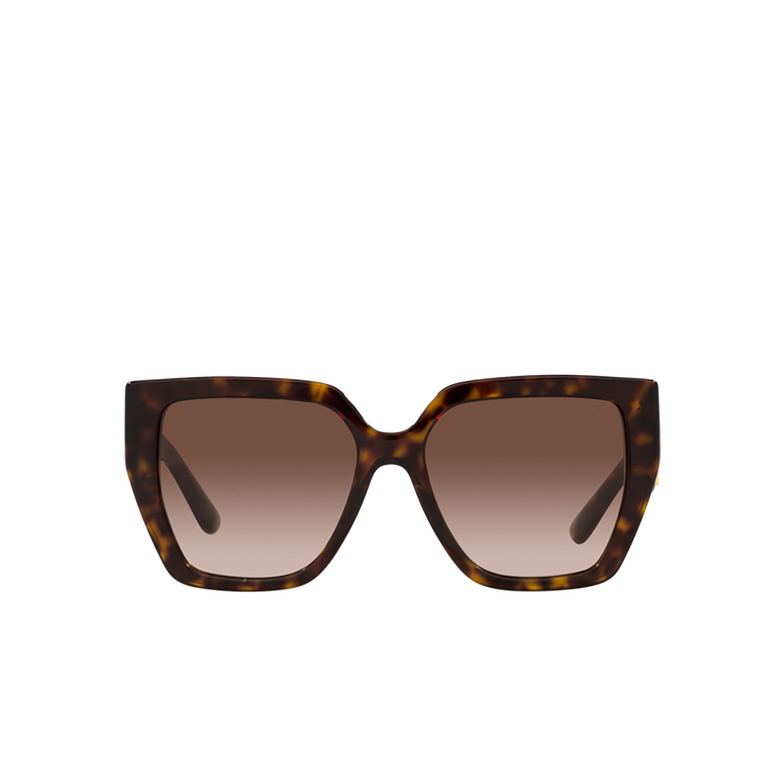 Gafas de sol Dolce & Gabbana DG4438 502/13 havana - 1/4