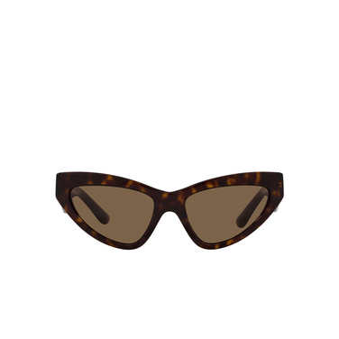 Dolce & Gabbana DG4439 Sonnenbrillen 502/73 havana - Vorderansicht