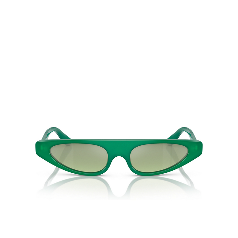 Dolce & Gabbana DG4442 Sunglasses 306852 milky green - 1/4
