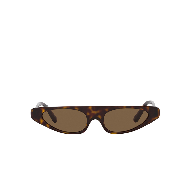 Dolce & Gabbana DG4442 Sunglasses 502/73 havana - 1/4