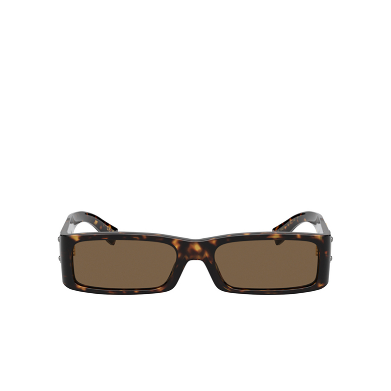 Dolce & Gabbana DG4444 Sunglasses 502/73 havana - 1/4