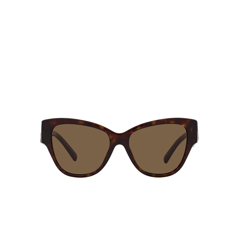 Dolce & Gabbana DG4449 Sunglasses 502/73 havana - 1/4