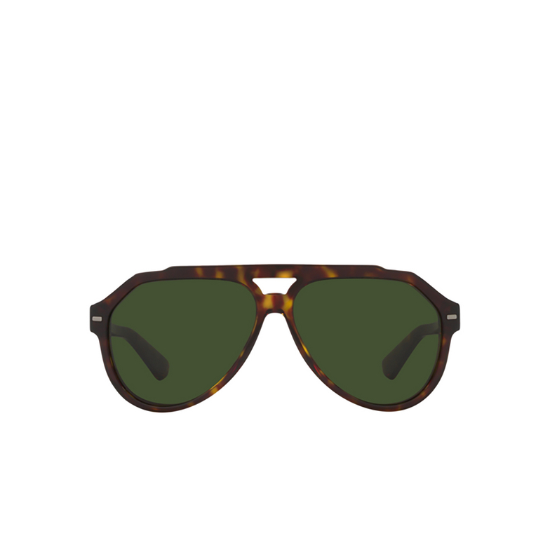 Dolce & Gabbana DG4452 Sunglasses 502/71 havana - 1/4
