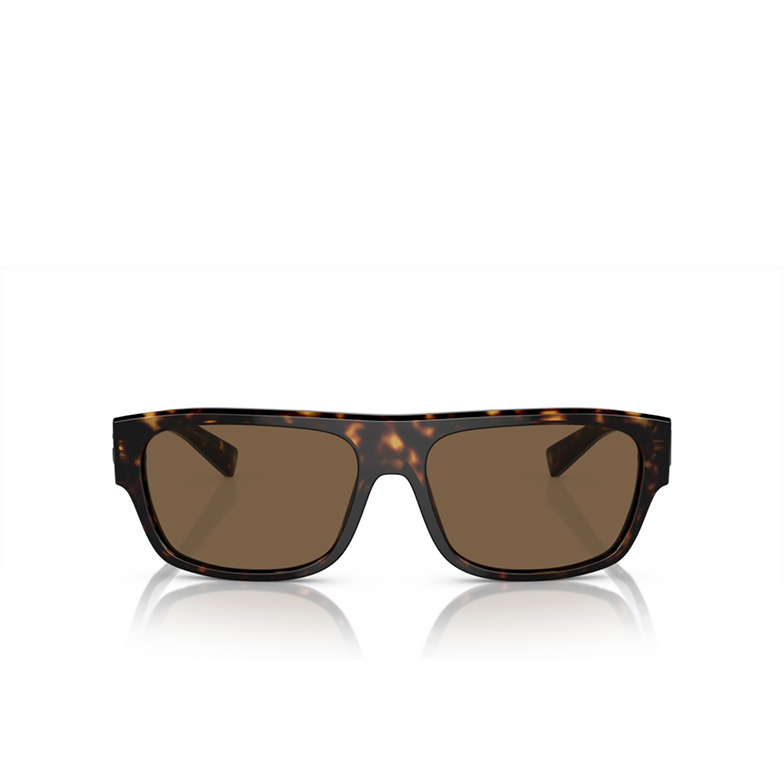 Gafas de sol Dolce & Gabbana DG4455 502/73 havana - 1/4