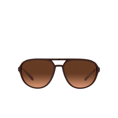 Dolce & Gabbana DG6150 Sunglasses 329578 transparent tobacco - front view