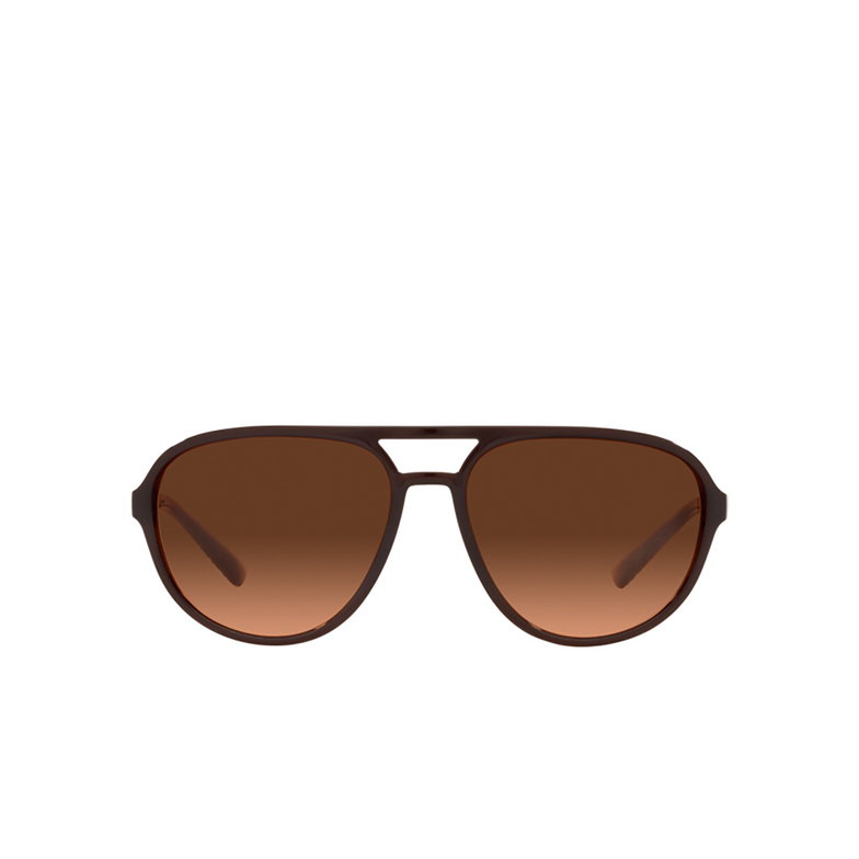 Dolce & Gabbana DG6150 Sunglasses 329578 transparent tobacco - 1/4
