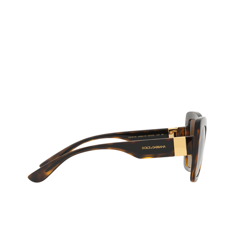 Dolce & Gabbana DG6170 Sunglasses 330613 havana / black - 3/4
