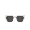Dolce & Gabbana DG6184 Sunglasses 331287 white - product thumbnail 1/4