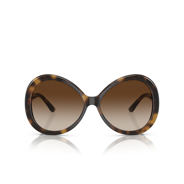 Dolce & Gabbana DG6194U Sunglasses 502/13 havana - 1/4