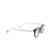 Eyepetizer CHARLES Sunglasses C.I-3-25F dark havana - product thumbnail 2/4