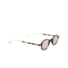 Eyepetizer LAUREN Sunglasses C.G-1-28F havana matt and gold - product thumbnail 2/4