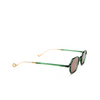 Gafas de sol Eyepetizer LAUREN C.O/O-4-45 transparent green - Miniatura del producto 2/4