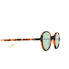 Eyepetizer RE Sunglasses C.G-4-29F havana matt - product thumbnail 3/4