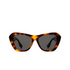 Fendi FE40064F Sunglasses 53A havana - product thumbnail 1/4