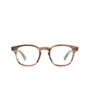 Garrett Leight ACE II Eyeglasses SQT sequoia tortoise - product thumbnail 1/4