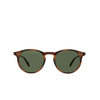 Garrett Leight CARLTON Sunglasses SPBRNSH/G15 spotted brown shell - product thumbnail 1/4