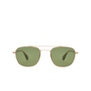 Garrett Leight CLUBHOUSE II Sunglasses G-SPBRNSH/GRN gold-spotted brown shell - product thumbnail 1/4