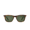 Garrett Leight HAYES Sunglasses SPBRNSH/PG15 PLR spotted brown shell - product thumbnail 1/4