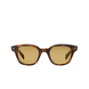 Garrett Leight NAPLES Sunglasses SPBRNSH/PMP spotted brown shell - product thumbnail 1/4