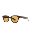 Garrett Leight NAPLES Sunglasses SPBRNSH/PMP spotted brown shell - product thumbnail 2/4