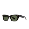 Garrett Leight WEBSTER Sunglasses BK/G15 black - product thumbnail 2/4
