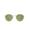 Garrett Leight WILSON M Sunglasses G-EMT/SFPGN gold-ember tortoise - product thumbnail 1/4