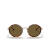 Giorgio Armani AR6133 Sunglasses 301173 rose gold / tortoise - product thumbnail 1/4