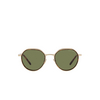 Giorgio Armani AR6144 Sunglasses 30022A matte pale gold - product thumbnail 1/4