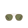 Giorgio Armani AR6145 Sunglasses 30022A matte pale gold - product thumbnail 1/4