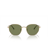 Giorgio Armani AR6150 Sunglasses 30022A matte pale gold - product thumbnail 1/4