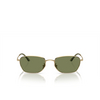 Giorgio Armani AR6151 Sunglasses 30132A pale gold - product thumbnail 1/4