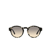 Giorgio Armani AR8146 Sunglasses 587332 grey havana - product thumbnail 1/4