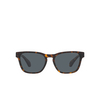 Giorgio Armani AR8155 Sunglasses 5879R5 havana - product thumbnail 1/4
