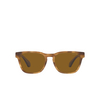 Giorgio Armani AR8155 Sunglasses 594233 opal striped brown - product thumbnail 1/4
