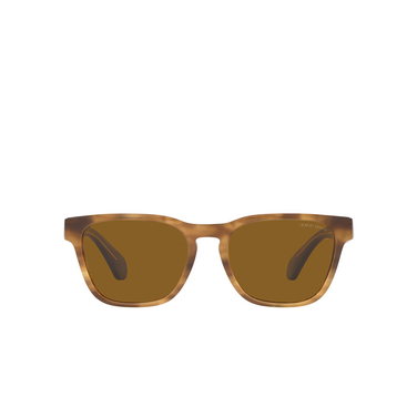 Giorgio Armani AR8155 Sunglasses 594233 opal striped brown - front view