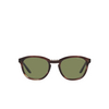 Giorgio Armani AR8170 Sunglasses 59634E striped brown - product thumbnail 1/4