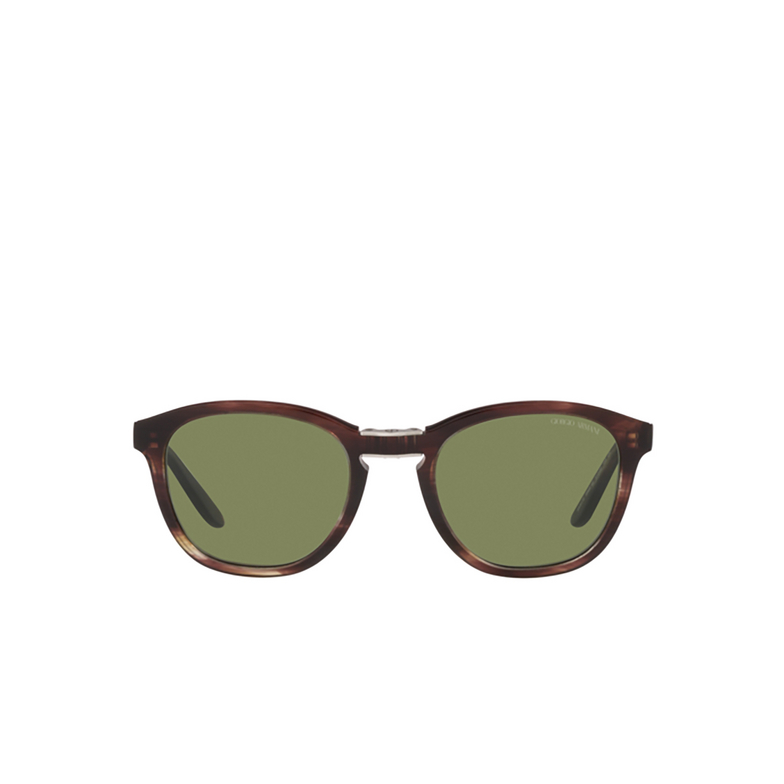 Giorgio Armani AR8170 Sunglasses 59634E striped brown - 1/4