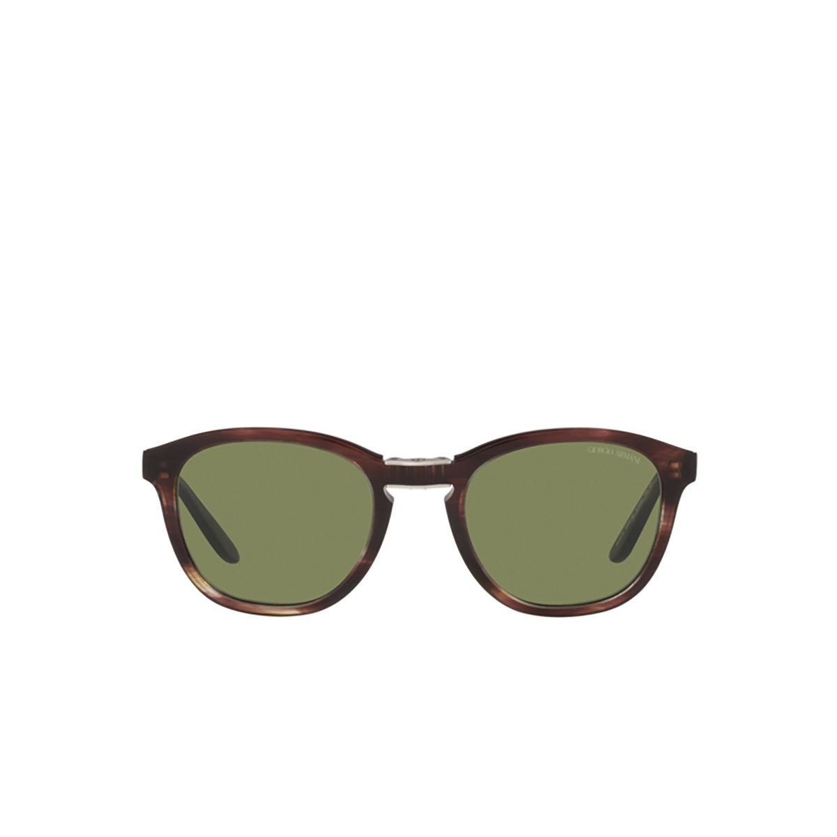 Giorgio Armani AR8170 Sunglasses 59634E Striped Brown - front view