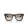 Giorgio Armani AR8171 Sunglasses 587932 havana - product thumbnail 1/4