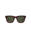 Giorgio Armani AR8171 Sunglasses 596231 red havana - product thumbnail 1/4