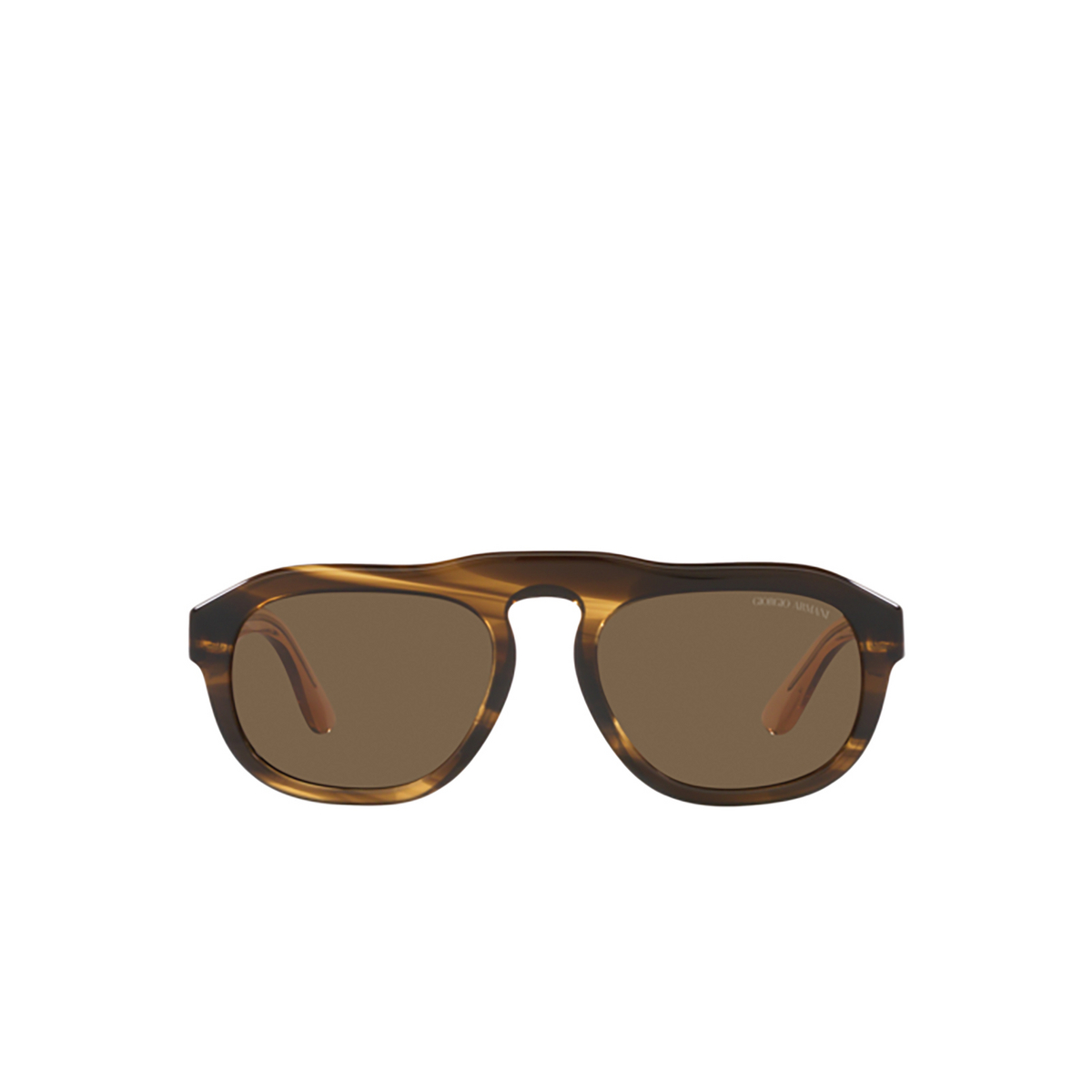 Giorgio Armani AR8173 Sunglasses 595873 Striped Brown - front view
